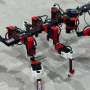 Six-legged robot learns to walk from a stick insect