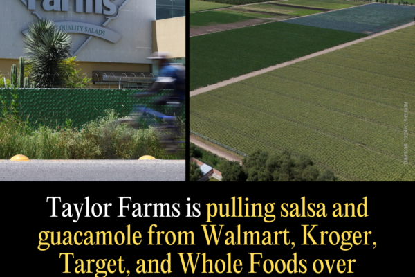 Taylor Farms Is Pulling Salsa and Guacamole From Walmart, Kroger, Target, and Whole Foods Over Salmonella