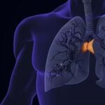 thymus-health-longevity-cancer-immune-aging-thumbnail