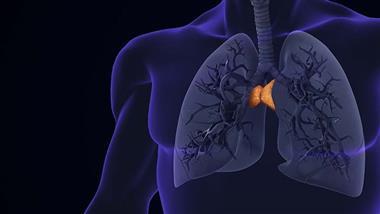 Body’s Most Mysterious Organ May Play a Key Role in Longevity and Cancer