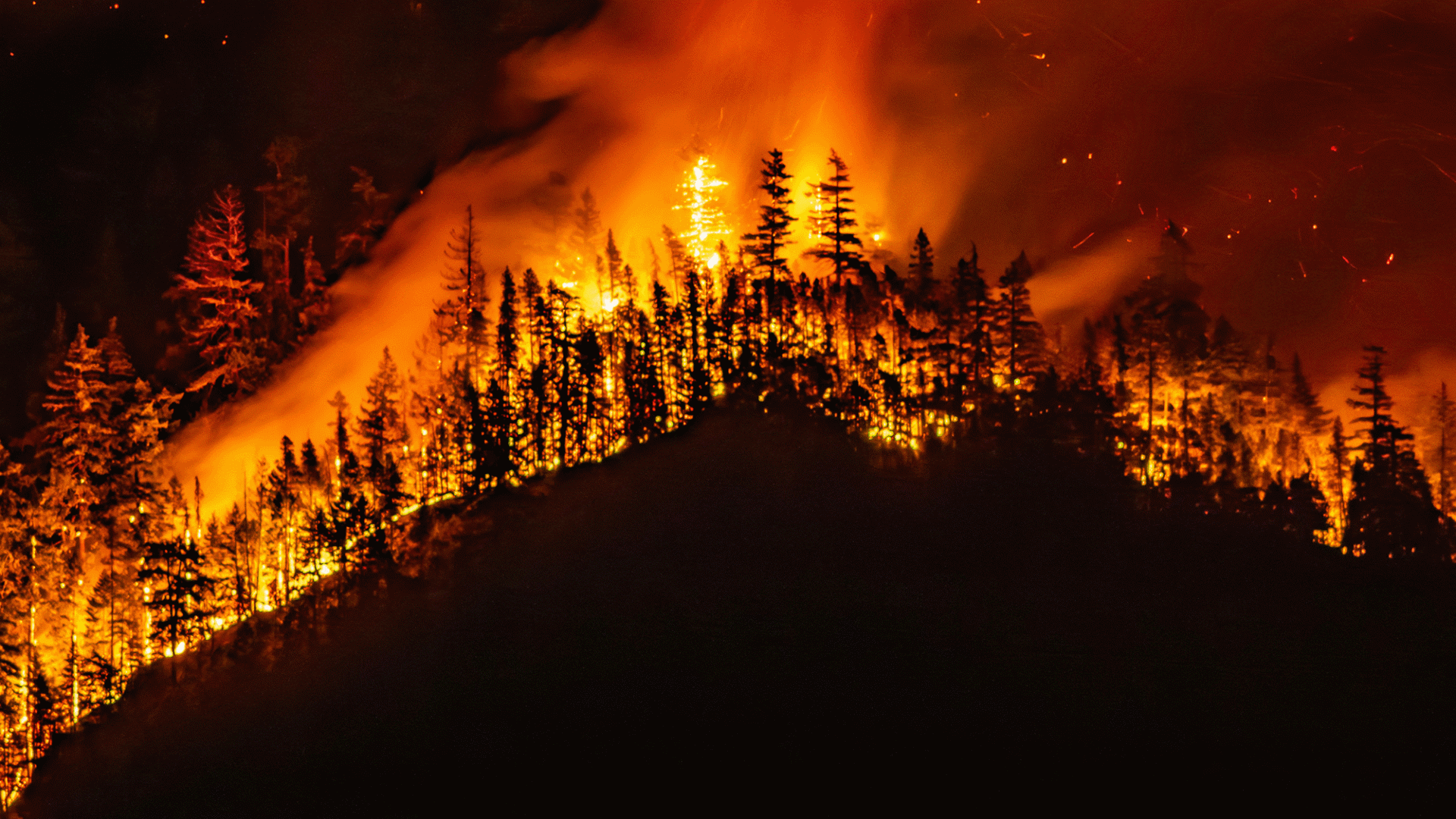 A raging wildfire on a forested hill glows against the night sky.