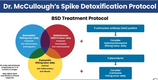 Diagram outlining Dr. McCullough's Spike Detoxification Protocol, featuring key components like Bromelain, Nattokinase, and Curcumin for treatment options and considerations based on patient conditions.