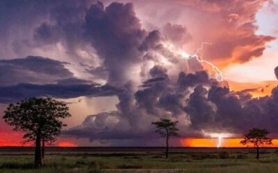 Our Sacred Planet Mother Earth in all of it’s Amazing Beauty and the Quote of the Day 261