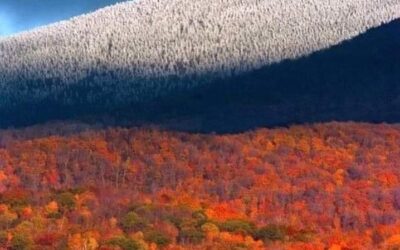 Our Sacred Planet Mother Earth in all of it’s Amazing Beauty and the Quote of the Day 262