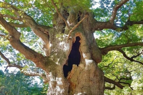 Our Sacred Planet Mother Earth in all of it’s Amazing Beauty and the Quote of the Day 260