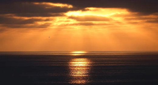A Surge of Marine Heat Waves Threatens to Scramble Ocean Life