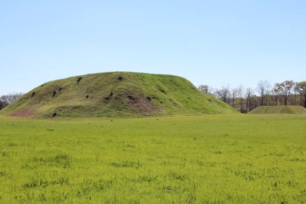 900-Year-Old DNA Reveals Cacao Reached Ancient Georgia, Rewriting Chocolate’s History in North America