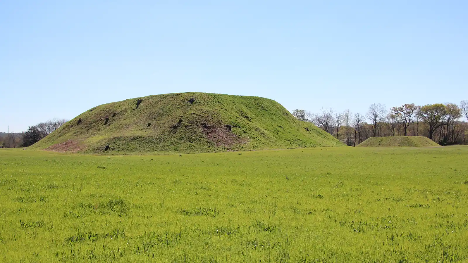 900-Year-Old DNA Reveals Cacao Reached Ancient Georgia, Rewriting Chocolate’s History in North America