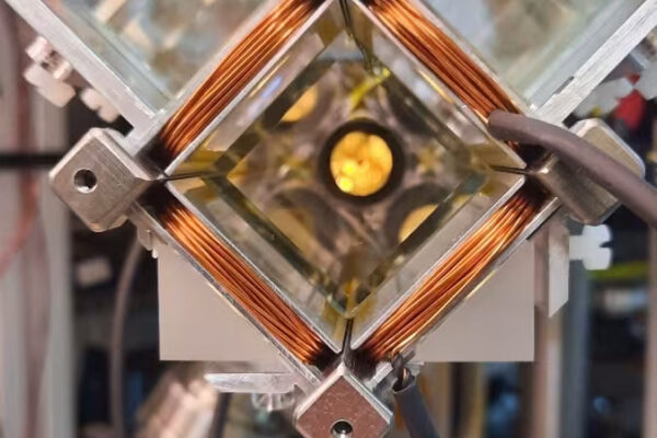 ‘There is no conflict between quantum physics and gravity’: Physicists prove Einstein’s ‘happiest thought’ holds true at quantum scales