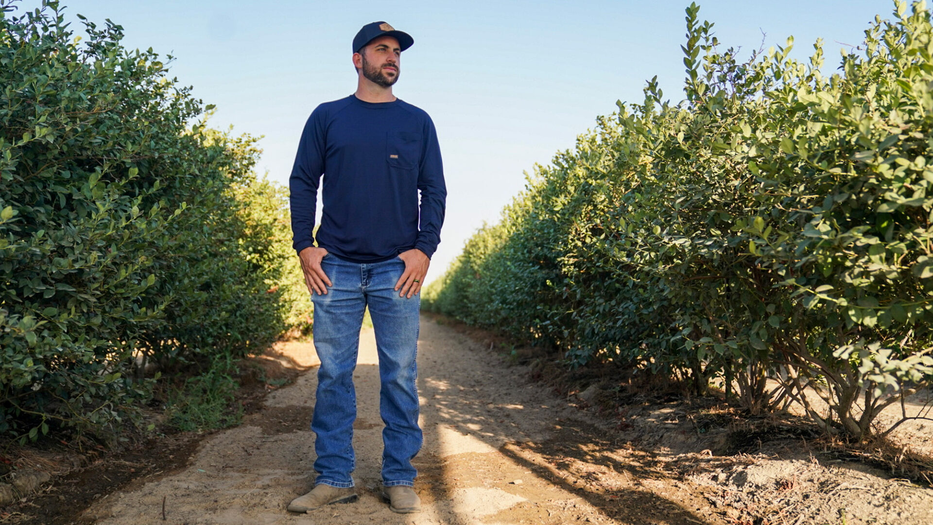 A man wearing a baseball cap and dark shirt stands in the midst of a row of crops.