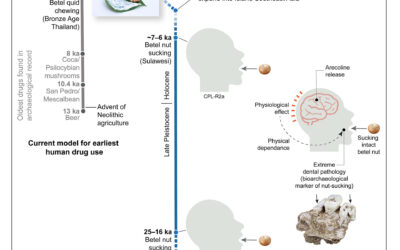 World’s oldest evidence of habitual drug use traced back 25,000 years to Indonesia