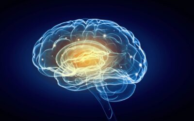 The neuroscience of motivation: what orexin neurons reveal about staying the course