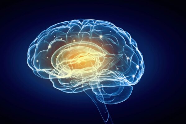 The neuroscience of motivation: what orexin neurons reveal about staying the course