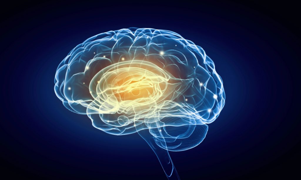 The neuroscience of motivation: what orexin neurons reveal about staying the course