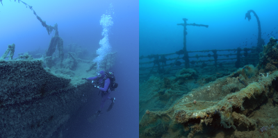 Sunken WWII hospital ship colonized by devil firefish and rare monk seals