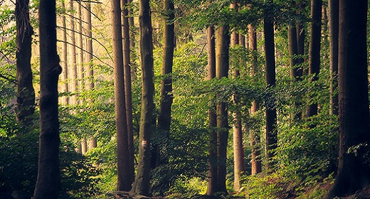 Prayer For Self-Love – The Four Agreements