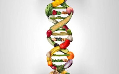 What Are GMOs or Bioengineered Foods? And Are They Safe?