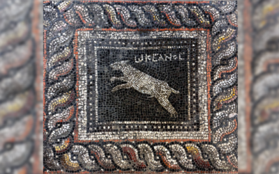 Stunning Roman-era mosaic discovered in Turkey features ‘Emerald’ the cat and ‘Ocean’ the dog