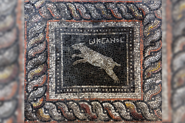 Stunning Roman-era mosaic discovered in Turkey features ‘Emerald’ the cat and ‘Ocean’ the dog
