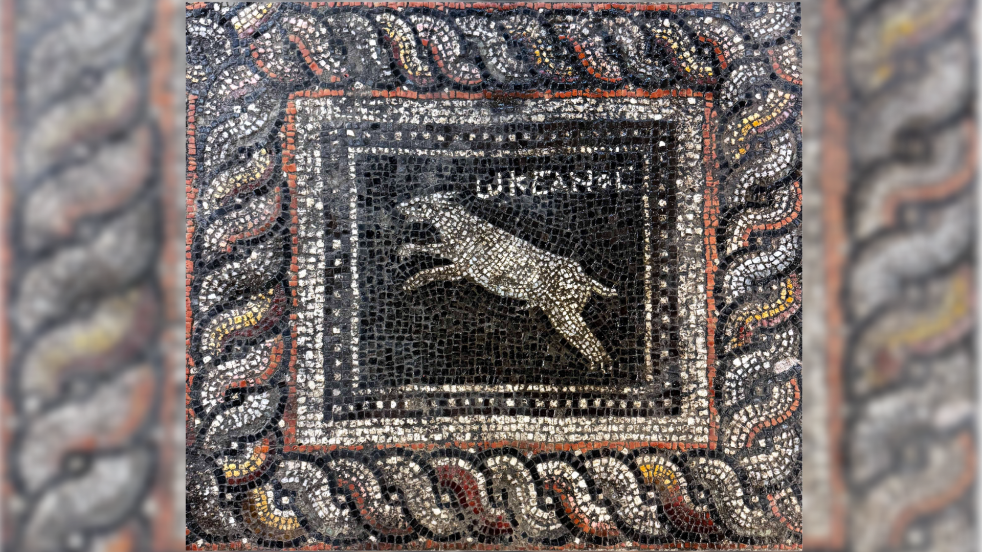 Stunning Roman-era mosaic discovered in Turkey features ‘Emerald’ the cat and ‘Ocean’ the dog