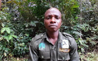Former Poachers Are Protecting One of Nigeria’s Last Rainforests