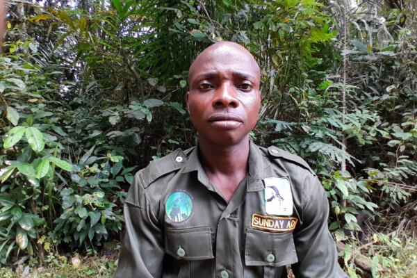 Former Poachers Are Protecting One of Nigeria’s Last Rainforests
