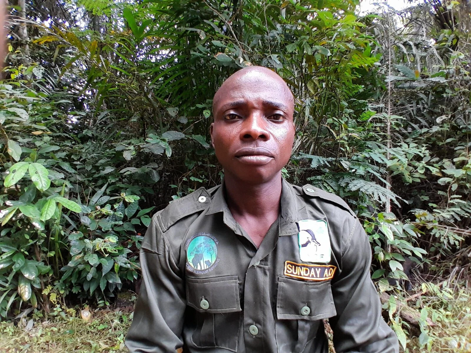 Former Poachers Are Protecting One of Nigeria’s Last Rainforests