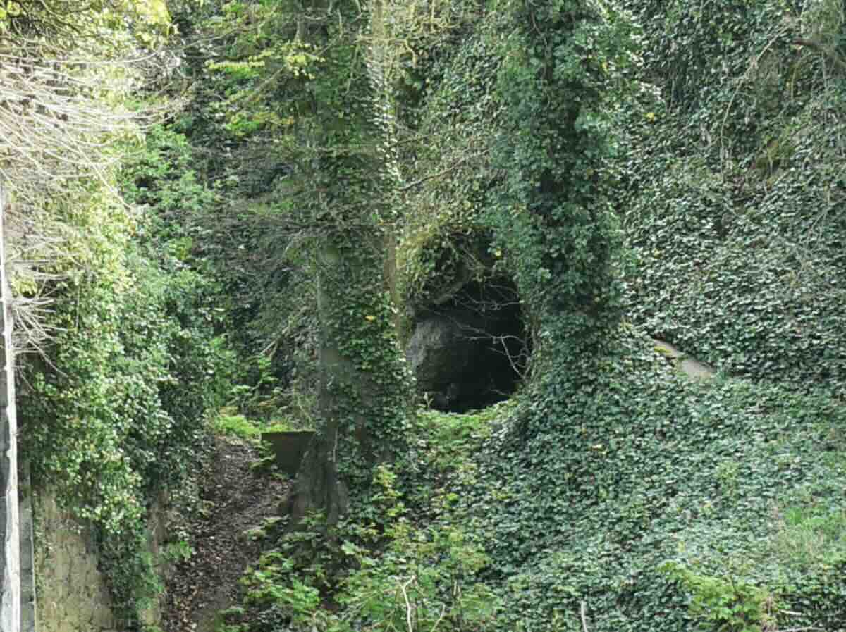15,000-Year-Old Cave Discovery in Ireland Could Push Back Earliest Evidence of Humans on the Island by 5,000 Years
