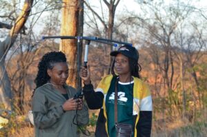 How Saving Cattle in Zimbabwe is Saving Its Lions