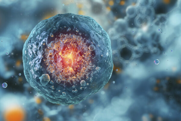 Author Lise Barnéoud on the bizarre and provoking world of microchimerism — when cells from one person live in another, genetically distinct individual