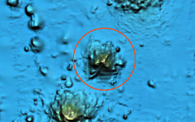 Ancient Alien Pyramid Found Below The Ocean 15 Miles Across! Google Earth Blurred It Out! UFO Sighting News.
