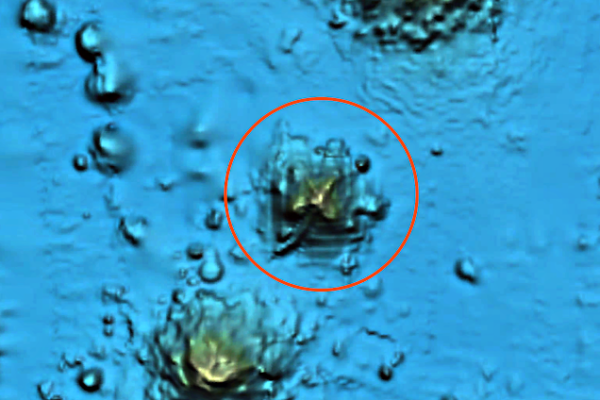 Ancient Alien Pyramid Found Below The Ocean 15 Miles Across! Google Earth Blurred It Out! UFO Sighting News.