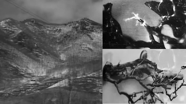 Eyewitness Reports of Russia’s Height 611 UFO Crash