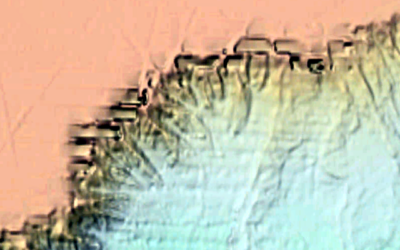 Ancient Alien Base In Black Sea Found! Its name is Eden! Yes you heard me right, UFO Sighting News, Sept 8, 2026