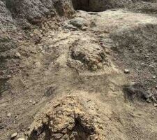 66-Million-Year-Old Footprint Discovery Reveals Something About Tyrannosaurus That Researchers “Never Imagined”
