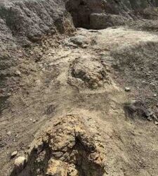 66-Million-Year-Old Footprint Discovery Reveals Something About Tyrannosaurus That Researchers “Never Imagined”