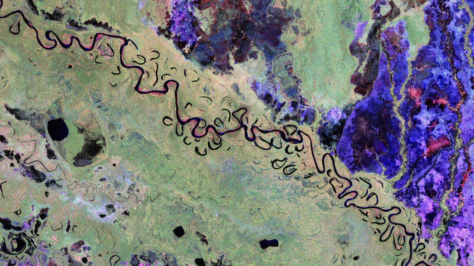 False-color satellite images of Earth taken by ESA's Biomass satellite