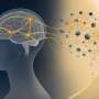 Brain activity patterns could help sharpen LLM deductive reasoning