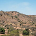 The Drylands Dividend: The Smart Investment for Powering a Water-Scarce World drylands_01-300x200-1