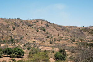 The Drylands Dividend: The Smart Investment for Powering a Water-Scarce World