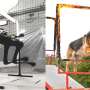 Four-legged robot learns dog-like movements to leap through tight spaces