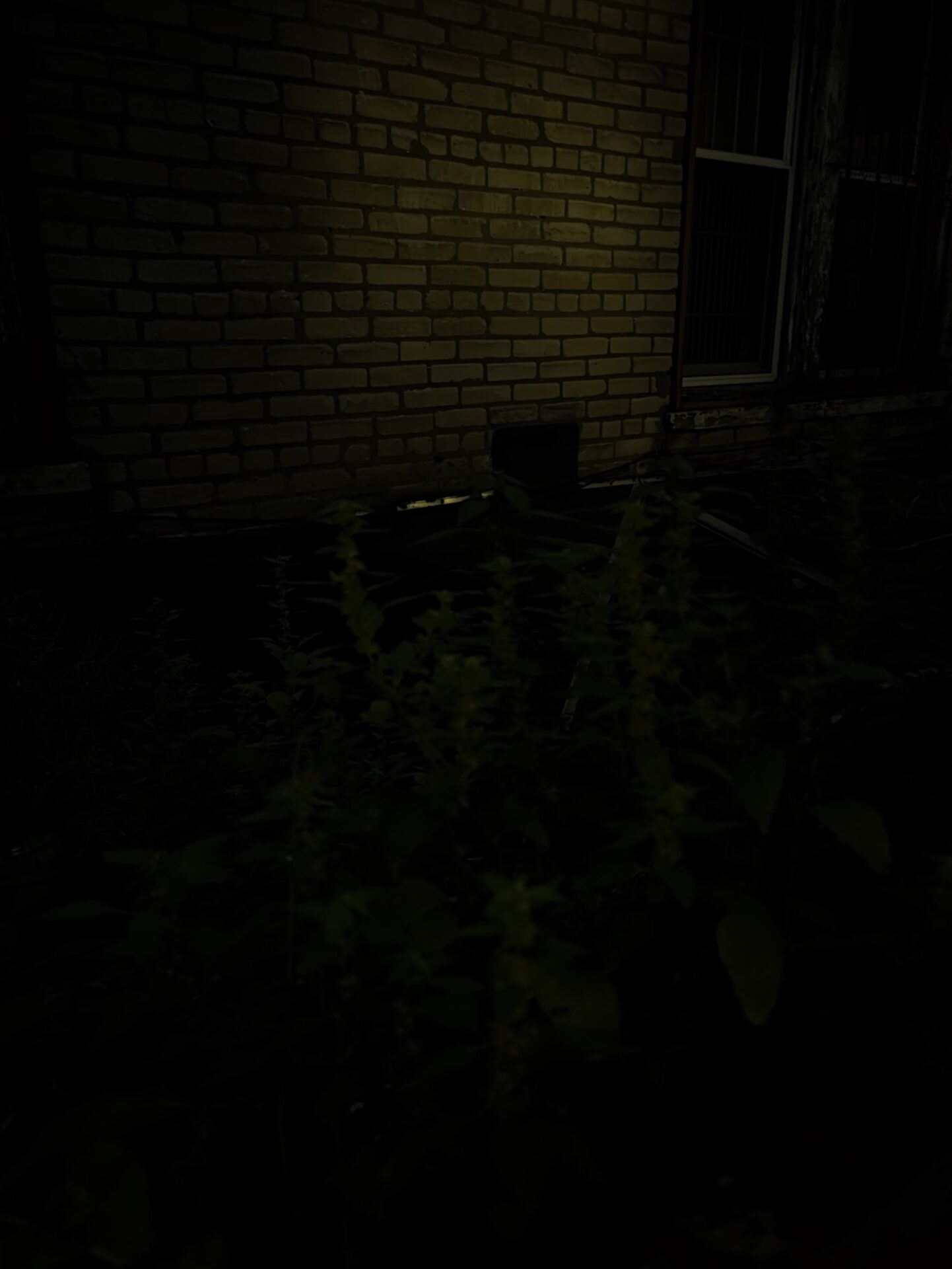 A nearly pitch black image taken at night