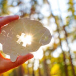 istockphoto-2181897384-612x612-1
