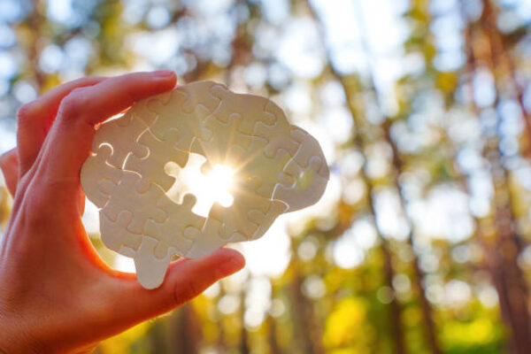 More Evidence That High Iron in the Brain Promotes Alzheimer’s
