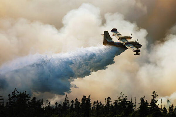 Wildfire Home Preparedness Guidance: Essential Tips For Homeowners