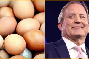 ANOTHER PAXTON WIN: Ken Paxton Announces 7 MILLION FREE EGGS Will Be Distributed to Struggling Texas Families Following Trump DOJ and State’s Antitrust Crackdown
