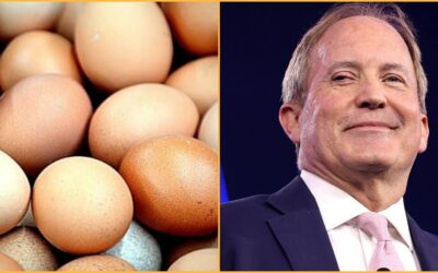ANOTHER PAXTON WIN: Ken Paxton Announces 7 MILLION FREE EGGS Will Be Distributed to Struggling Texas Families Following Trump DOJ and State’s Antitrust Crackdown