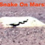 life_PlanetMars