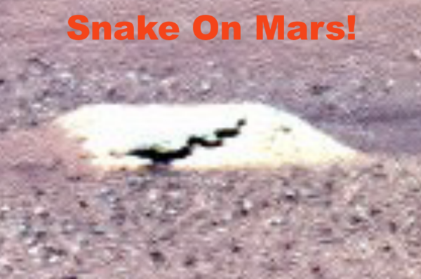 Snake Found On Mars In NASA Rover Photo, Sept 1, 2026, UFO Sighting News.