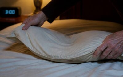 Cheap Pillows Are Already Flat By 3 A.M. – Mike’s Made-In-America Queen Is .98 With Code TGP
